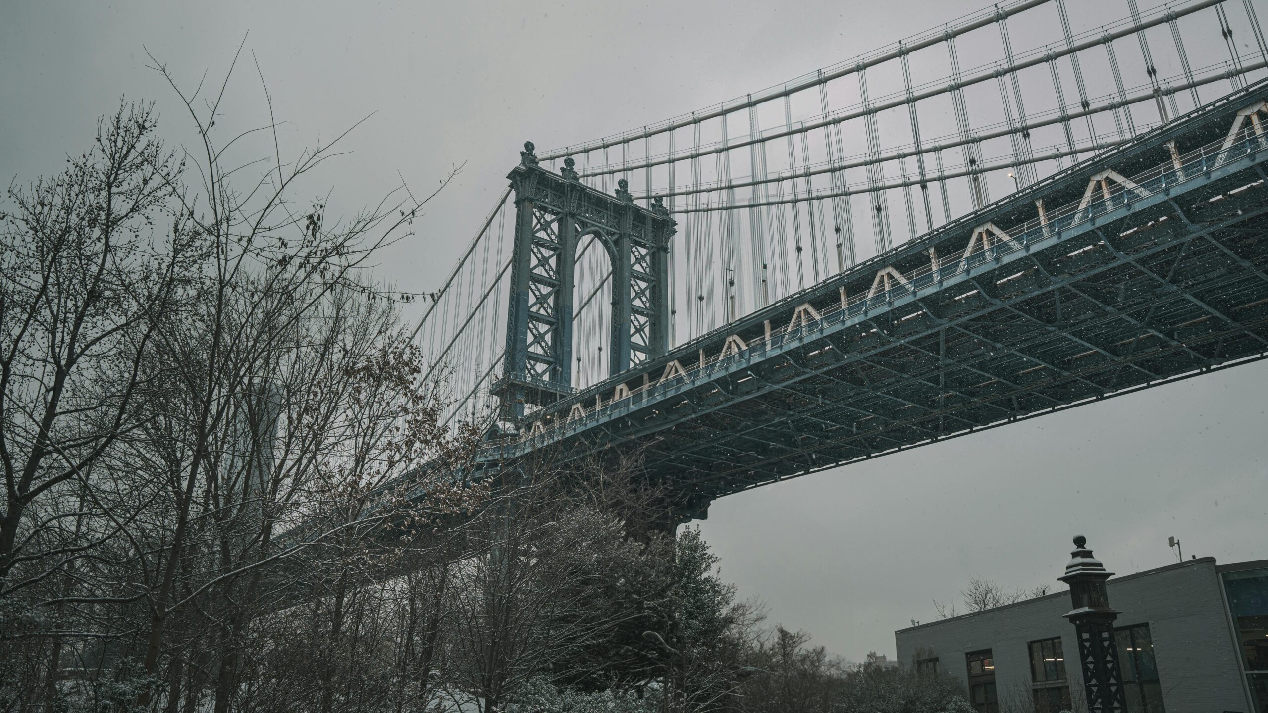 pexels jesserphotonyc 30165352