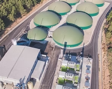 screenshot 2026 02 20 171855