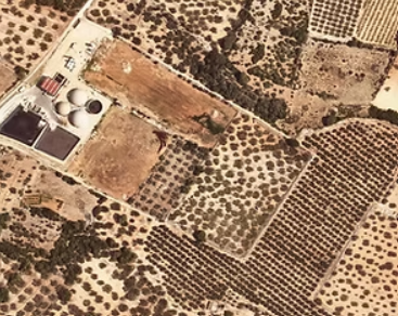 screenshot 2026 02 20 172918