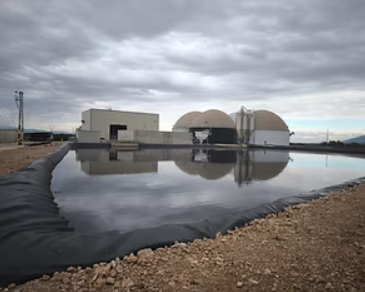 screenshot 2026 02 20 172949